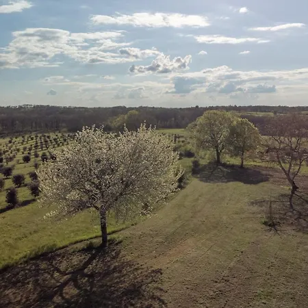 Aux Truffes De Combecave Mauroux (Lot)