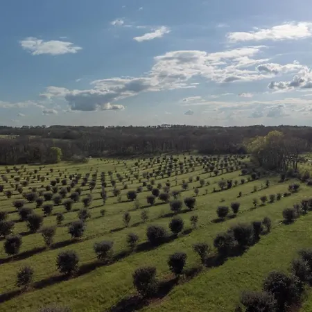 Oda ve Kahvaltı Aux Truffes De Combecave *