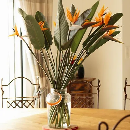 Oda ve Kahvaltı Aux Truffes De Combecave *