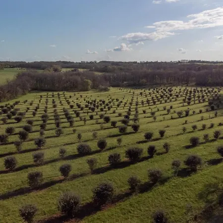 Aux Truffes De Combecave *