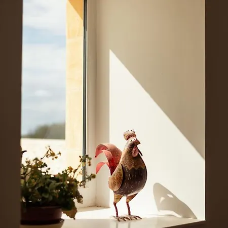 Aux Truffes De Combecave