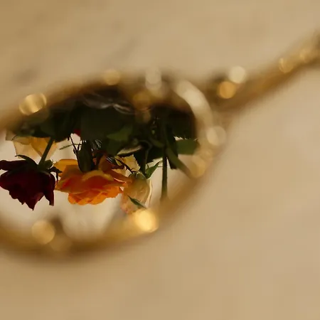 Aux Truffes De Combecave Bed and breakfast Mauroux (Lot)