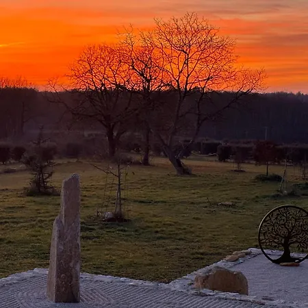 Aux Truffes De Combecave Mauroux (Lot)